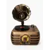 Nostaljik Şarjlı Bluetooth Fm Radyo & Işıklı Gramofon Hoparlör RT-704