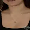 Swarovski Crystal Taşlı Gümüş Kalp Kadın Kolye