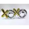 Xoxo Parti Gözlüğü 2 Renk 2 Adet