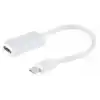 ZR138 Mini Dp Hdmı Çevirici Kablo 30 Cm