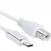 ZR360 Ads 501 Type-C Yazıcı Kablosu 1 M