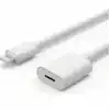 ZR81 Lightning Uzatma Kablosu 1 M