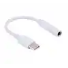 ZR862 Beyaz Type-C Kulaklık Çevirici
