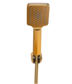 Arena Mafsallı Duş Seti-Altın