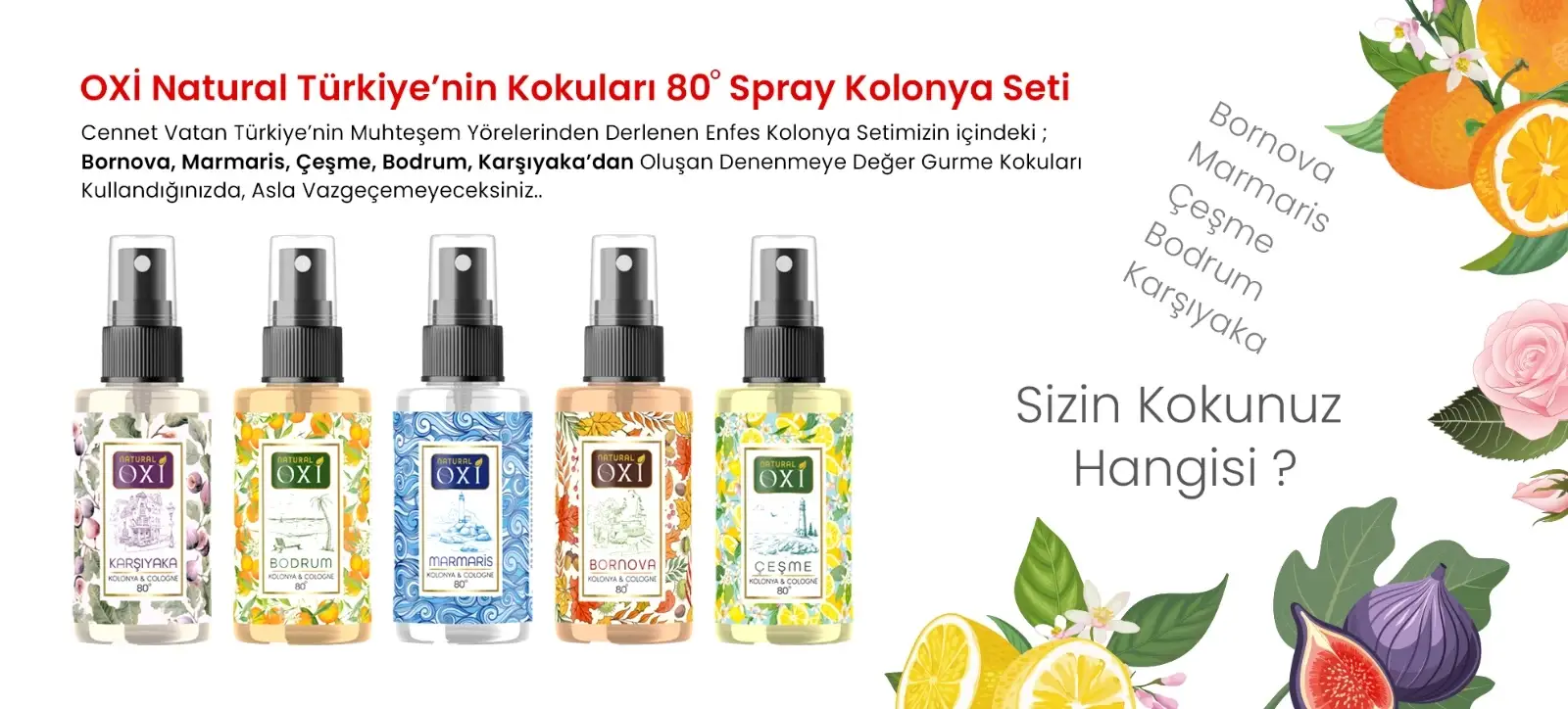 Türkiye Kolonyaları