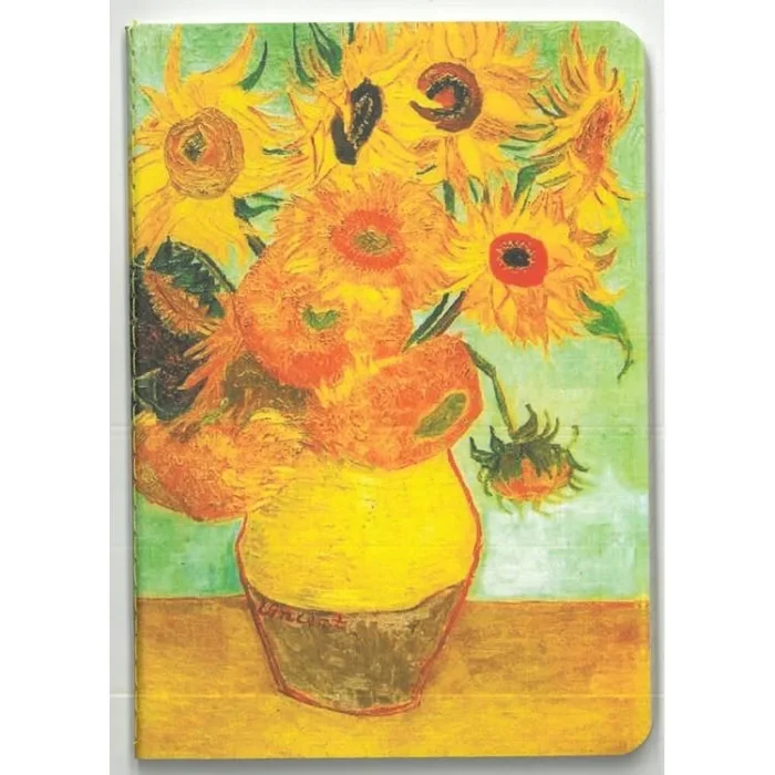 DEFFTER YAZMAK İÇİN BİR MİLYON NEDEN NOT DEFTERİ 10.5x14.8cm ÇİZGİLİ - TEKLİ