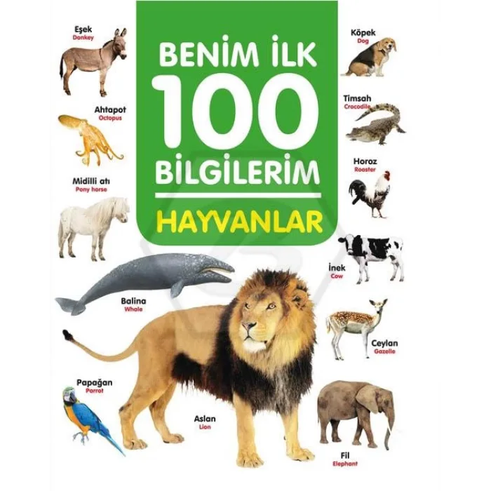 İLK 100 BİLGİLERİM HAYVANLAR
