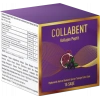 COLLABENT 15 SAŞE