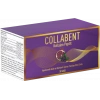 COLLABENT 30 SAŞE
