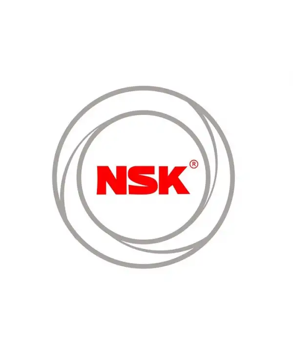 6217 NSK
