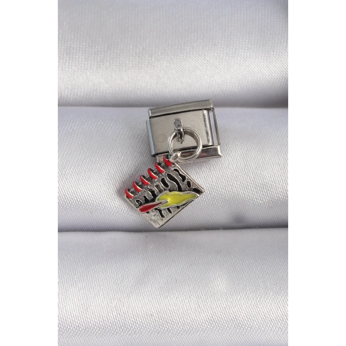 Mey İthalat® 316L Çelik Gümüş Renk Sallantı Defter Figür Nomination Charm