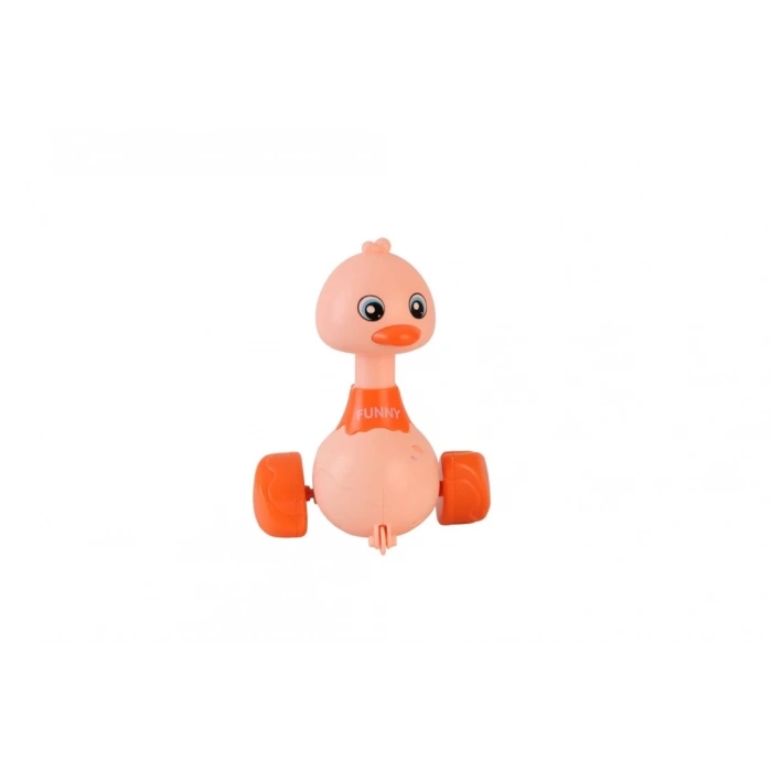 BFS LG188139 DİSPLAYDE BASBIRAK ÖRDEK 72