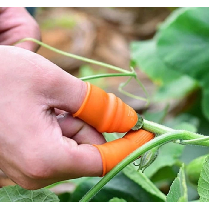 BFS  Pratik Baş Parmak Sebze Kesme Ayıklayıcı Erkek L Set