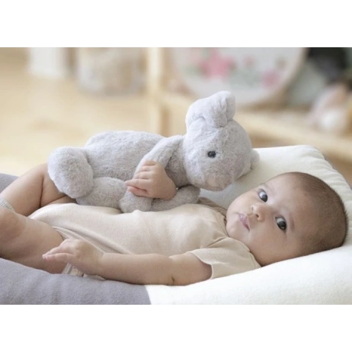 BFS    Uyku Arkadaşım Oturabilen Tavşan 30 Cm 730 Gri