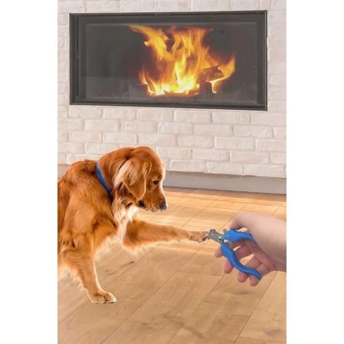 Evcil Hayvan Kedi ve Köpek Paslanmaz Çelik Yaylı Tırnak Makası ve Düzeltme