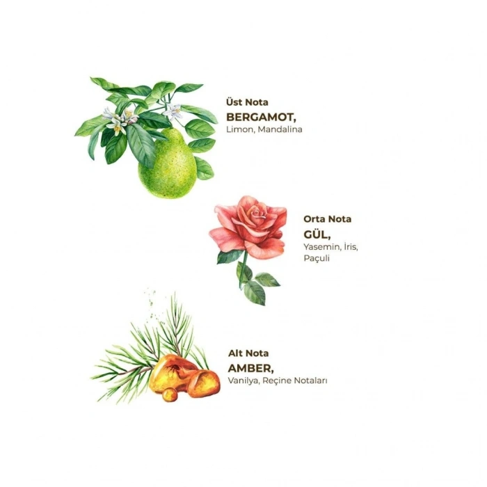 Mey İthalat®   Kolonya Pet Şişe Sprey 150 ml Amber