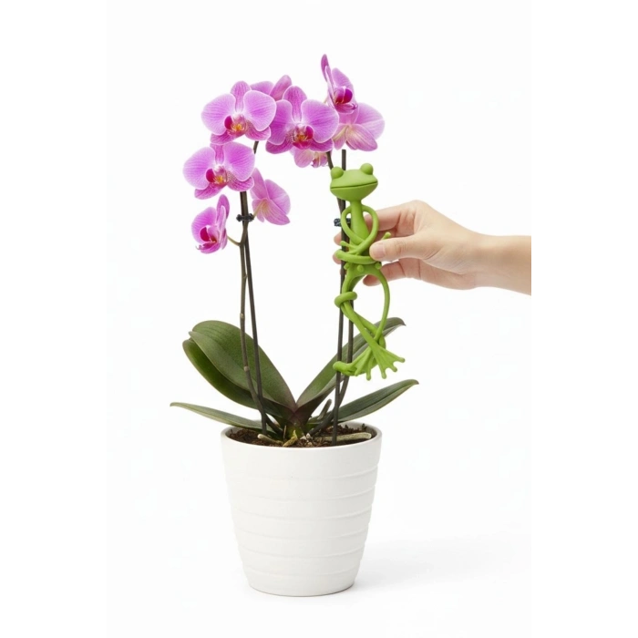 Mey İthalat®  Kurbağa Şeklinde Bitki Sabitleyici – Bahçe ve İç Mekan Bitkileri İçin Dal ve Gövde Destek Aparatı, Çok Amaçlı Bitki Tutucu Klips