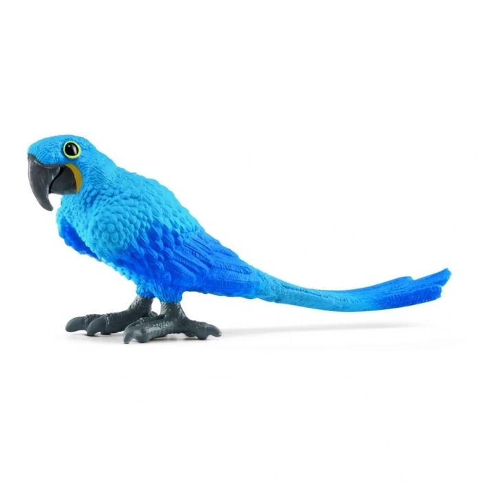 Mey İthalat® Sümbül Makav Papağan