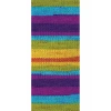 5 Adet Vega Stripe Premium Akrilik El Örgü İpi Yünü No: 82410