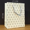 Beyaz Geometrik Desenli Orta Boy Karton Hediye Çantası