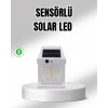 BFS Güneş Enerjili Dış Mekan Sensörlü Duvar Lambası IP65 Su Geçirmez