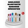 BFS Kablosuz Bluetooth Karaoke Mikrofon  Yankı Efektli
