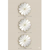 Mey İthalat® 3’lü Gold Güneş Desenli Duvar Aynası Seti 27 cm | Dekoratif Yuvarlak Ayna
