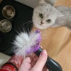 Mey İthalat®  Kısa Tüylü Kedi Tarağı 45 KG ye Kadar