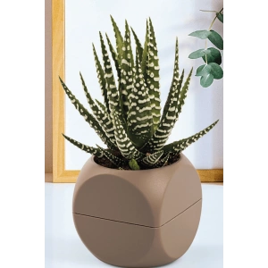 1 No Küp Saksı Royaleks-KRS-401