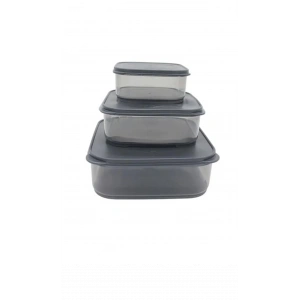 3lü Yatay Füme Renk Saklama Kabı Royaleks-VİV-OX258