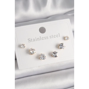 BFS 316L Çelik Gold Renk Zirkon Taşlı Kalp Model Kadın Küpe Seti