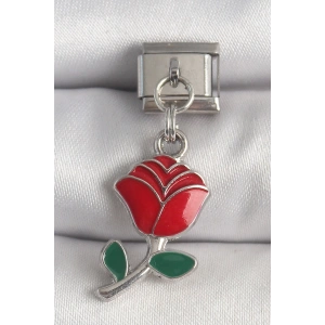 BFS 316L Çelik Gümüş Renk Sallantı Kırmızı Gül Model Nomination Charm