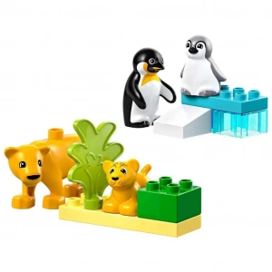 Mey İthalat®  Kasabası Vahşi Hayvan Aileleri: Penguenler ve Aslanlar 10442