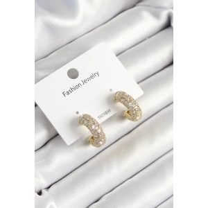 BFS Pirinç Zirkon Taşlı Halka Model Gold Renk Kadın Küpe