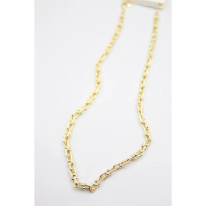 Tfn Zincir Kolye - Altın