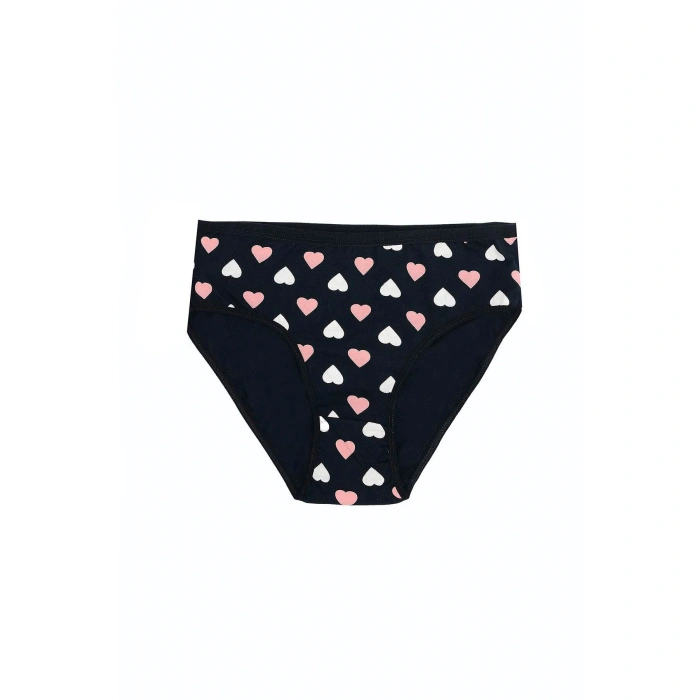 Büyük Beden Pamuklu Likralı Karışık Renkli 3lü Külot