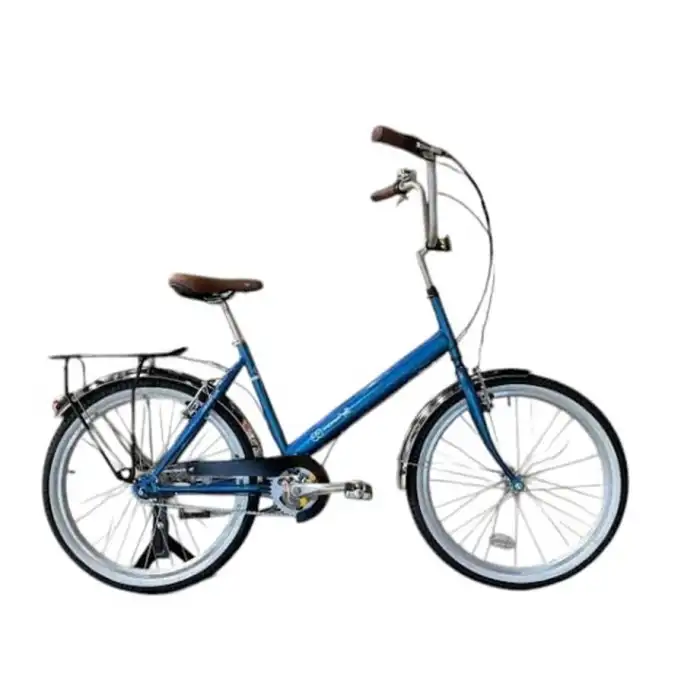 CARRARO PONI KADIN ŞEHİR BİSİKLETİ 450H V 24 JANT 3 VİTES MAVİ MOR BEYAZ