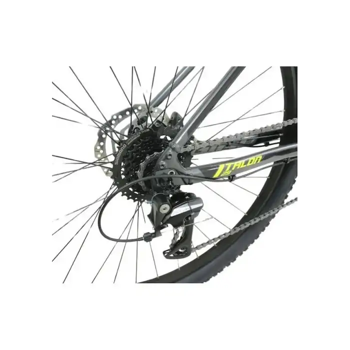 GIANT TALON 2-S ERKEK DAĞ BİSİKLETİ M360H HD 29 JANT 16 VİTES ACERA GRİ