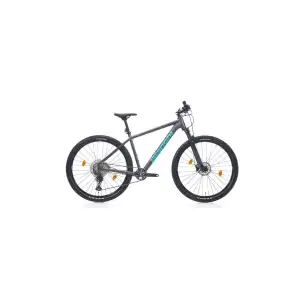 BIANCHI MAGMA COMP 9.S ERKEK DAĞ BİSİKLETİ 530H HD 29 JANT 12 VİTES DEORE MAT GRİ CELESTE