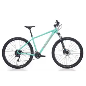 BIANCHI MAGMA 29.1 ALTUS ERKEK DAĞ BİSİKLETİ 480H HD 29 JANT 24 VİTES CK16 CELESTE SİLVER GLOSS