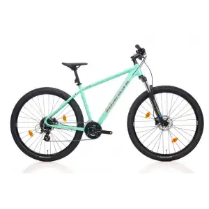 BIANCHI MAGMA 29.1 ERKEK DAĞ BİSİKLETİ 530H HD 29 JANT 24 VİTES ALTUS CK16 CELESTE SİLVER GLOSS