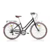 BIANCHI RUBINO KADIN ŞEHİR BİSİKLETİ 430H V 28 JANT 21 VİTES BLACK GLOSSY