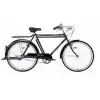 BİSAN ROADSTAR GL HİZMET BİSİKLETİ 58CM V 26 JANT 1 VİTES PARLAK SİYAH BEYAZ
