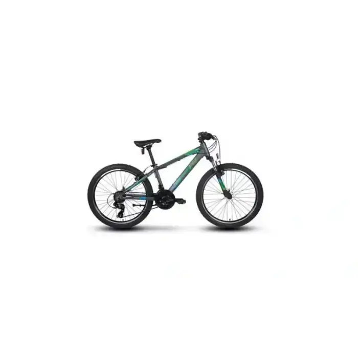 CARRARO FORCE 400 ERKEK DAĞ BİSİKLETİ 325H V 24 JANT 21 VİTES MAT ANTRASİT YEŞİL MAVİ