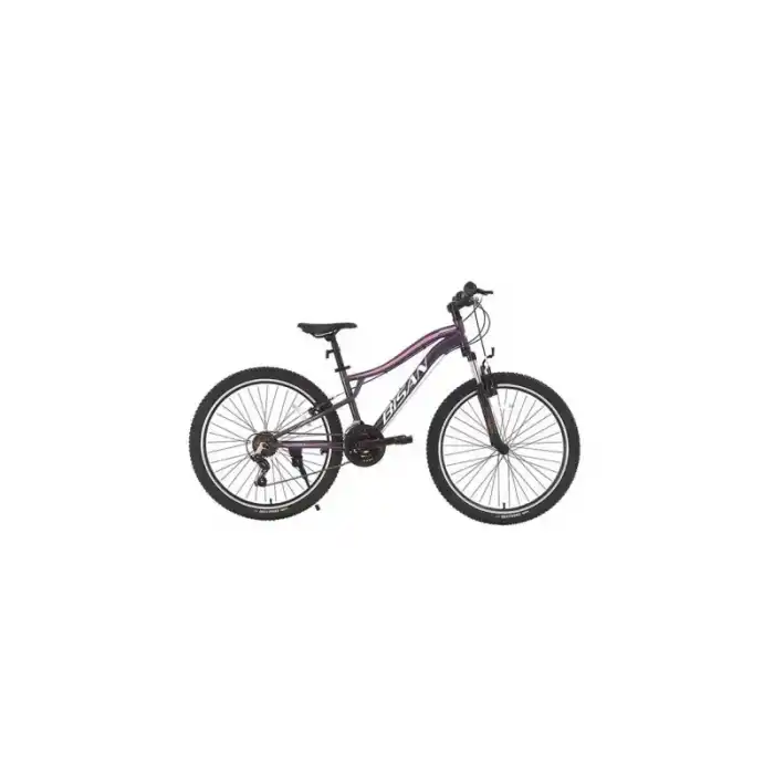BİSAN GAZELLE KADIN DAĞ BİSİKLETİ 37CM V 27.5 JANT 21 VİTES METALİK MOR AÇIK PEMBE
