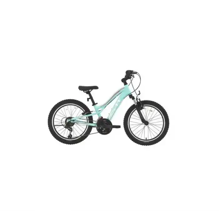 BİSAN GAZELLE KADIN DAĞ BİSİKLETİ 30CM V 24 JANT 18 VİTES TURKUAZ KOYU PEMBE