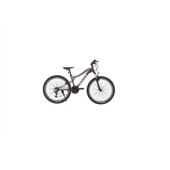 BİSAN GAZELLE KADIN DAĞ BİSİKLETİ 35CM V 26 JANT 21 VİTES METALİK MOR AÇIK PEMBE