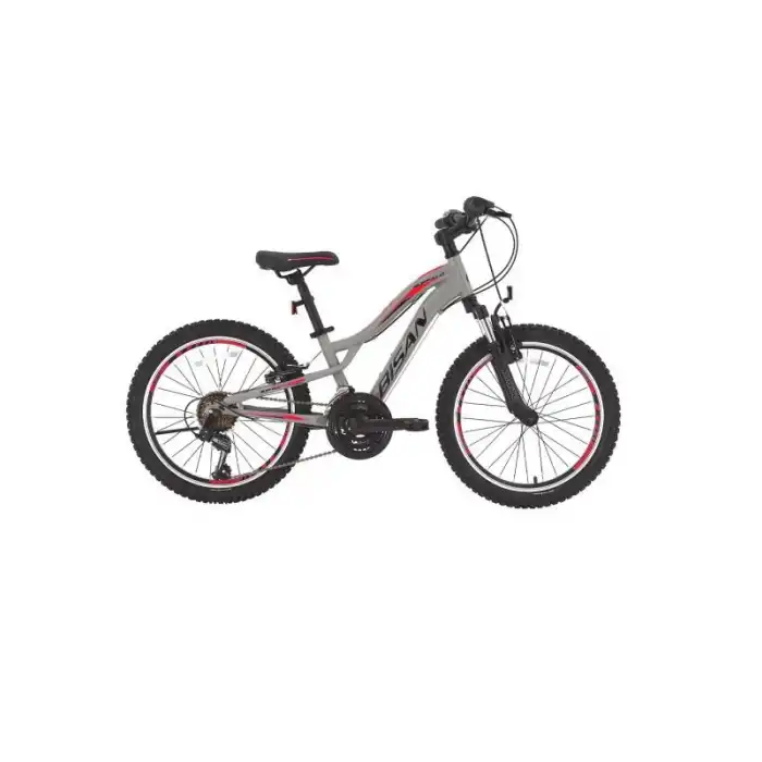 BİSAN BUFFALO ERKEK DAĞ BİSİKLETİ 30CM V 24 JANT 18 VİTES MATALİK GRİ SİYAH KIRMIZI