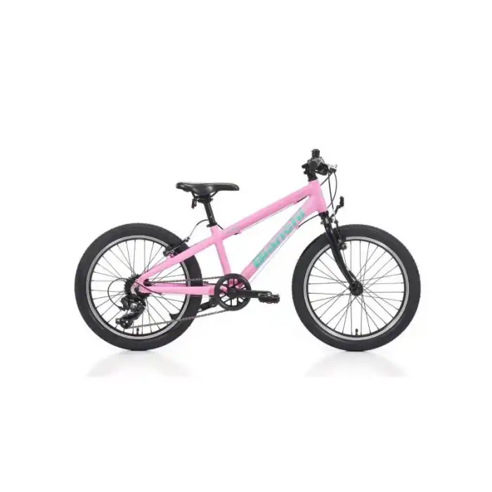 BIANCHI XR20 KIZ ÇOCUK BİSİKLETİ 280H V 20 JANT 7 VİTES SHIMANO 9W PEMBE YEŞİL