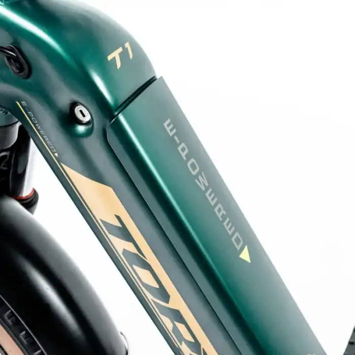 TORC T1F ELEKTRİKLİ KATLANIR BİSİKLET 420H HD 20 JANT 7 VİTES YEŞİL GOLD